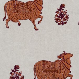 Tela Jaipur