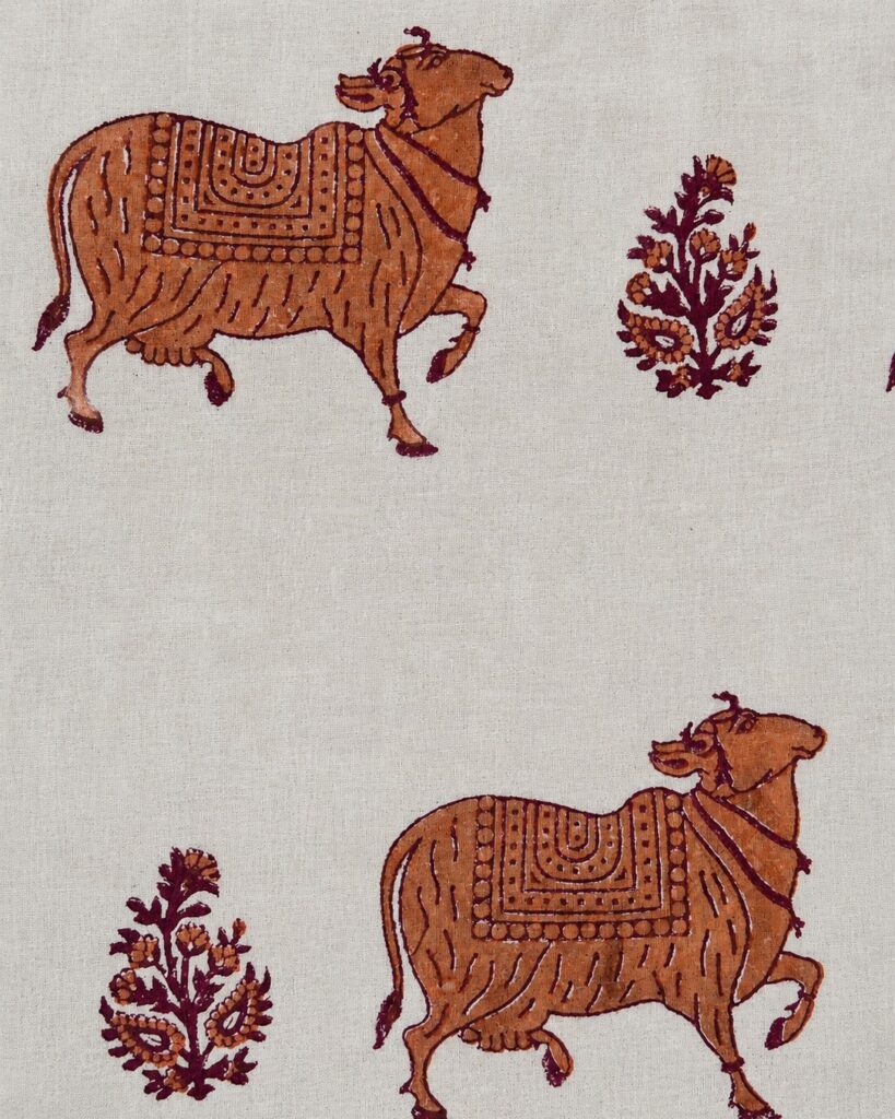 Tela Jaipur