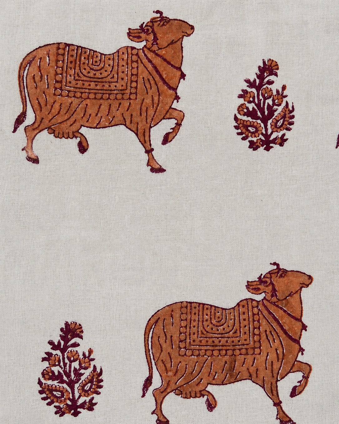 Tela Jaipur